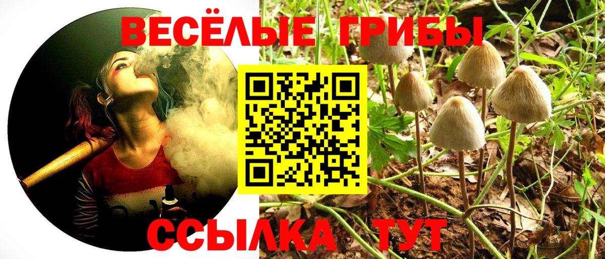 Белебей  где найти   Псилоцибиновые грибы ЛСД  Вход с VPN  Псилоцибиновые грибы ЛСД 